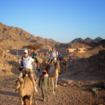 اختيار الرحلات المناسبة في مصر