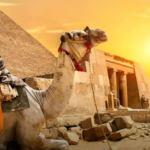 التخطيط والتحضير للرحلات في مصر: دليل شامل